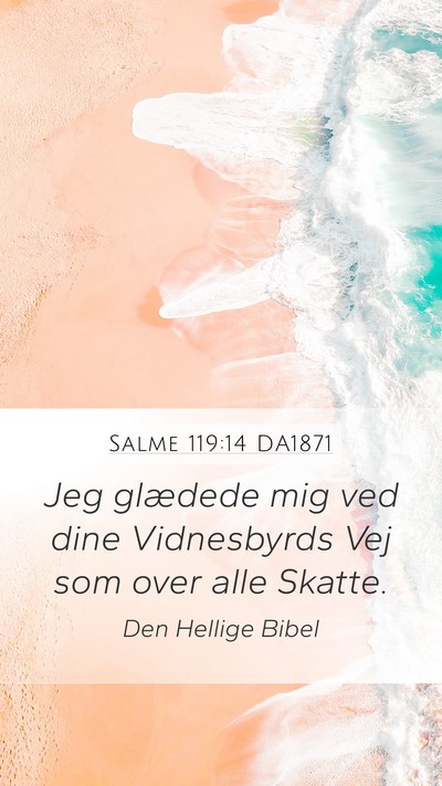 Salme 119:14 DA1871 Bible Verse Image