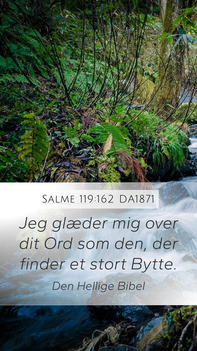 Salme 119:162 DA1871 Bible Verse Image