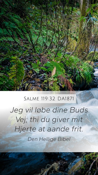 Salme 119:32 DA1871 Bible Verse Image