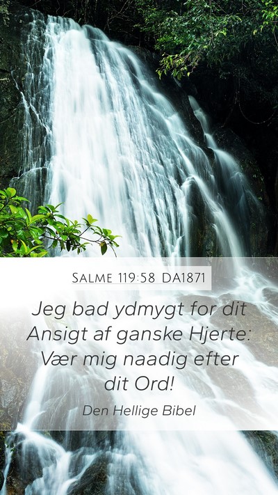 Salme 119:58 DA1871 Bible Verse Image