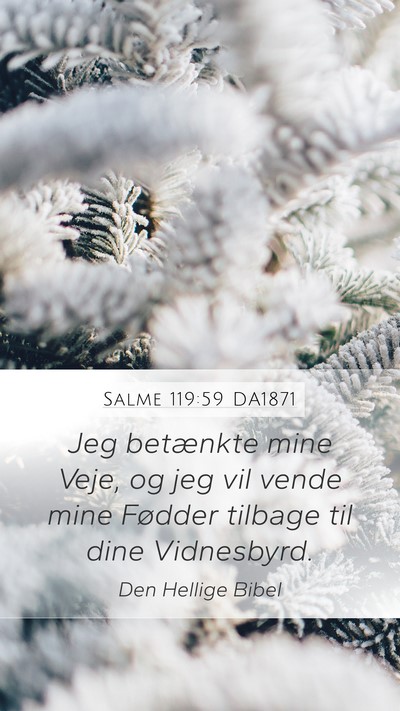 Salme 119:59 DA1871 Bible Verse Image