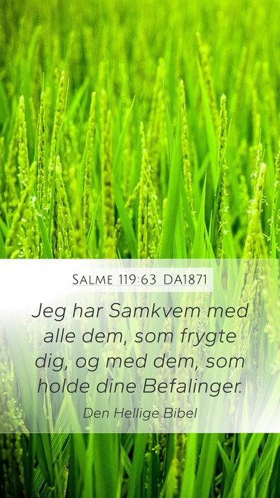 Salme 119:63 DA1871 Bible Verse Image