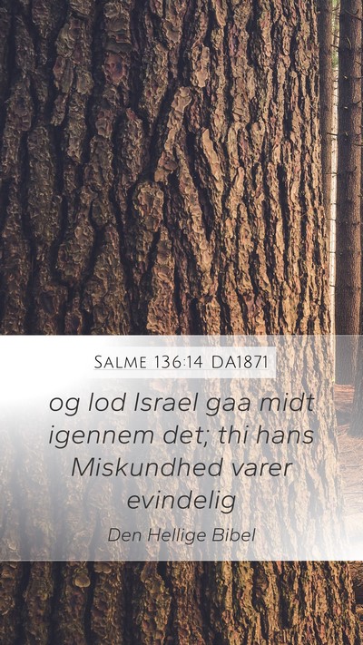 Salme 136:14 DA1871 Mobile Phone Wallpaper - og lod Israel gaa midt igennem det; thi hans - Mobile Bible Verse Wallpaper