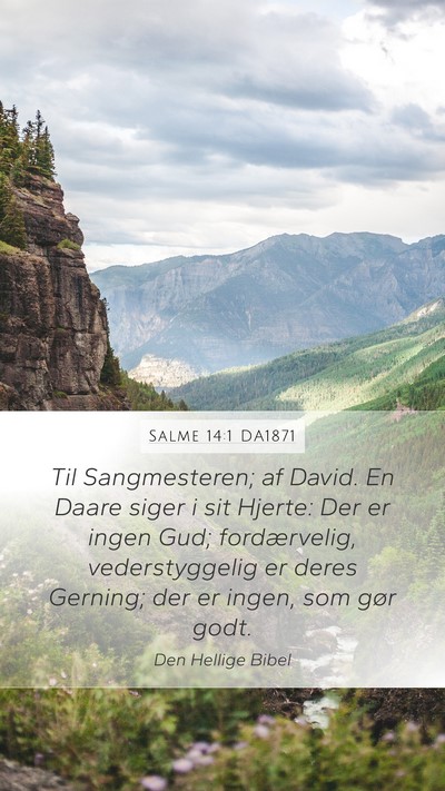 Salme 14:1 DA1871 Bible Verse Image