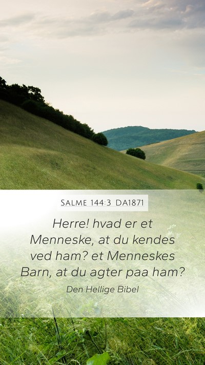 Salme 144:3 DA1871 Bible Verse Image