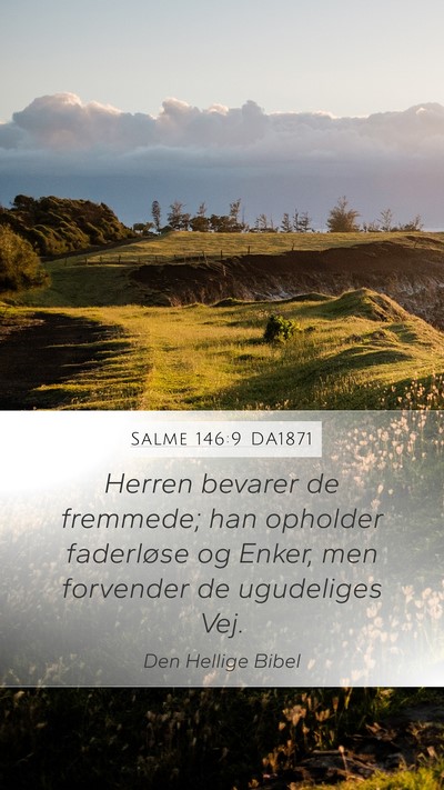 Salme 146:9 DA1871 Bible Verse Image