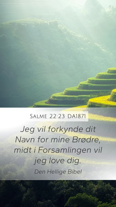 Salme 22:23 DA1871 Bible Verse Image