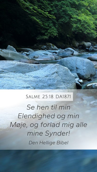 Salme 25:18 DA1871 Bible Verse Image