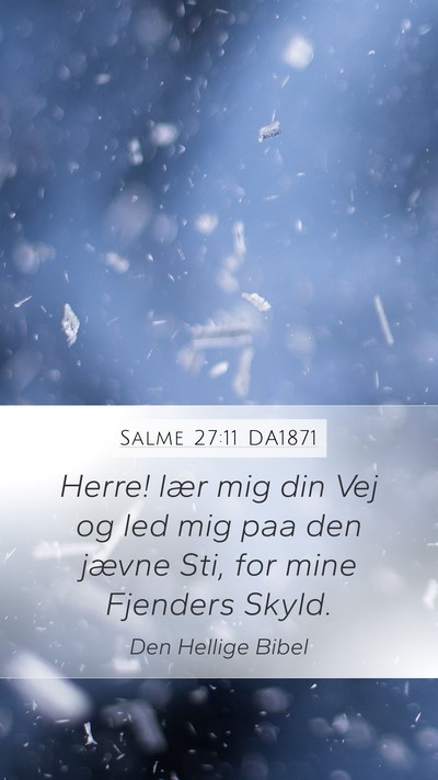Salme 27:11 DA1871 Bible Verse Image
