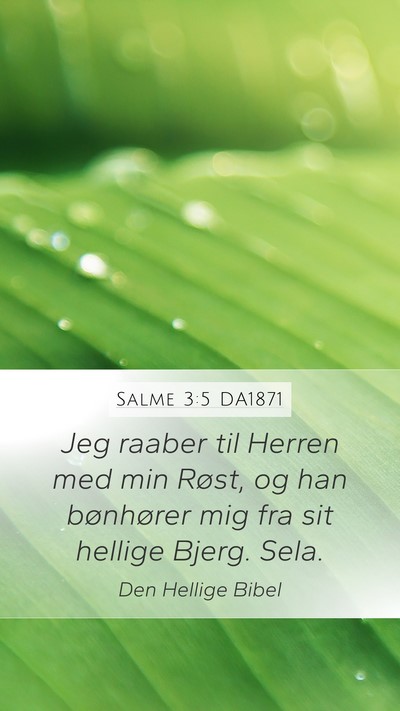 Salme 3:5 DA1871 Bible Verse Image
