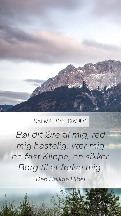 Salme 31:3 DA1871 Bible Verse Image