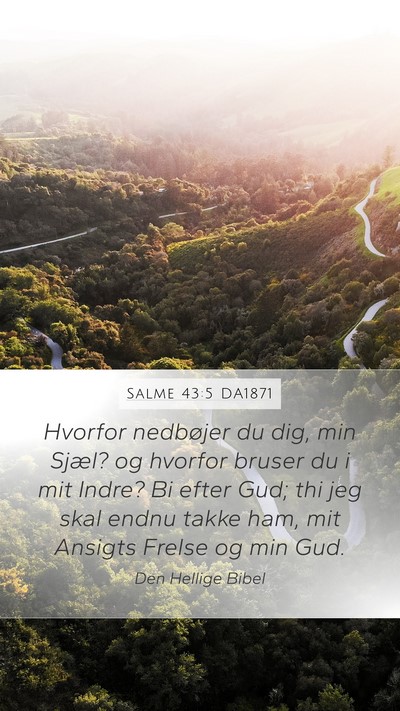 Salme 43:5 DA1871 Bible Verse Image