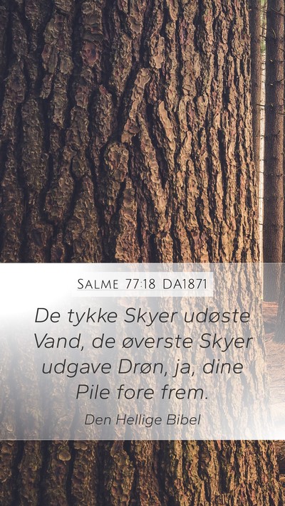 Salme 77:18 DA1871 Bible Verse Image