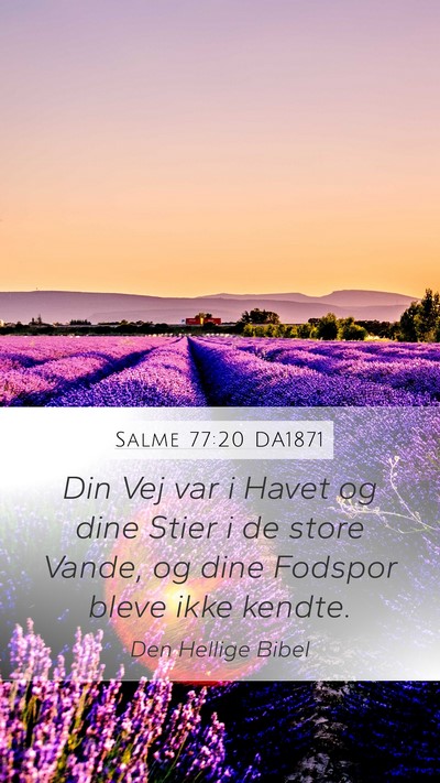 Salme 77:20 DA1871 Bible Verse Image