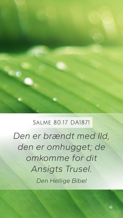Salme 80:17 DA1871 Bible Verse Image