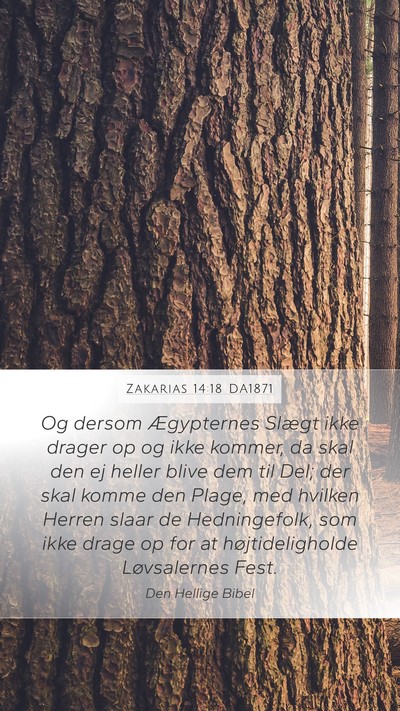 Zakarias 14:18 DA1871 Bible Verse Image