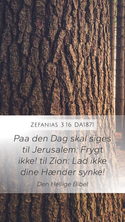 Zefanias 3:16 DA1871 Bible Verse Image